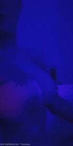15404431