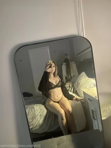 15637549
