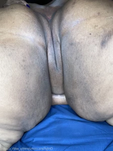 16309598