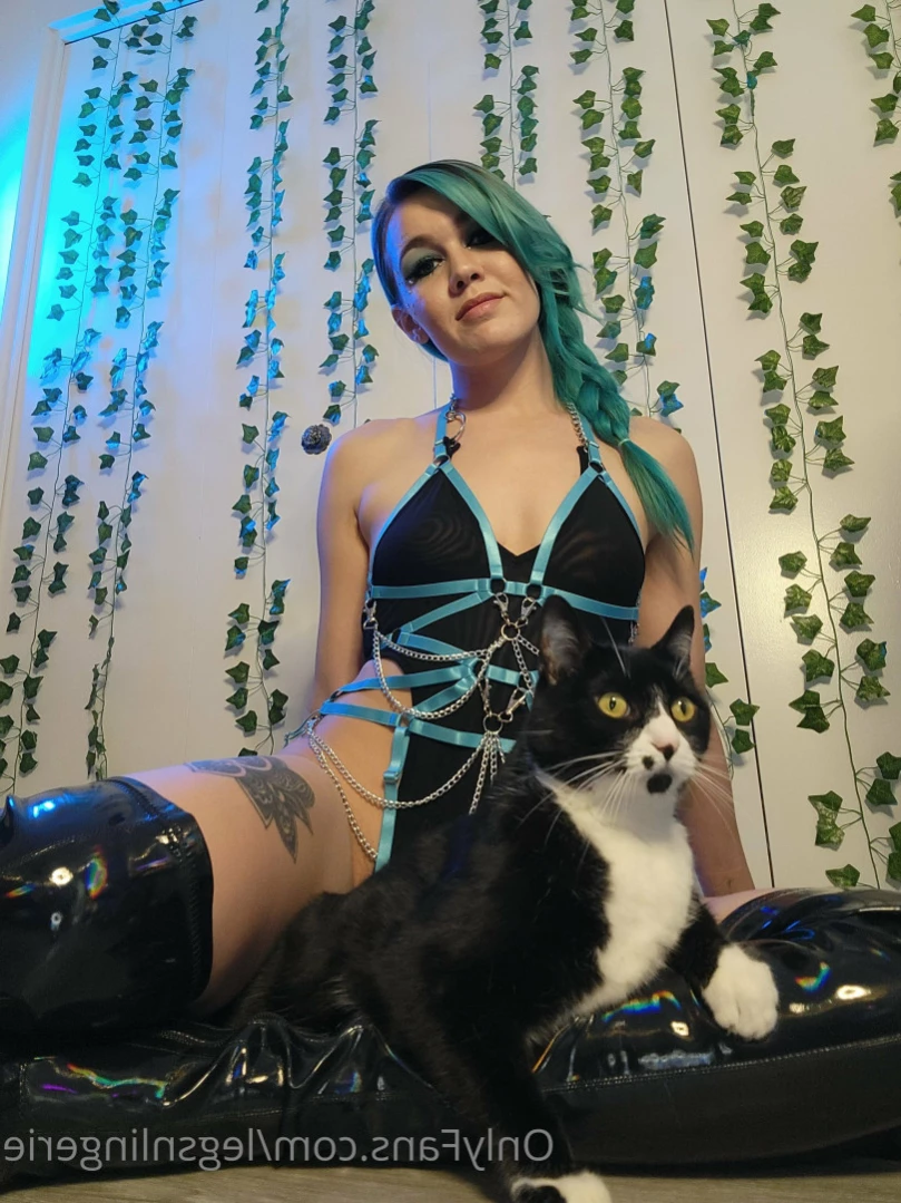 𝓛𝓮𝓰𝓼𝓷𝓛𝓲𝓷𝓰𝓮𝓻𝓲𝓮♡ [ legsnlingerie ] Onlyfans leaked photo 12786000 on Hotleaks.tv