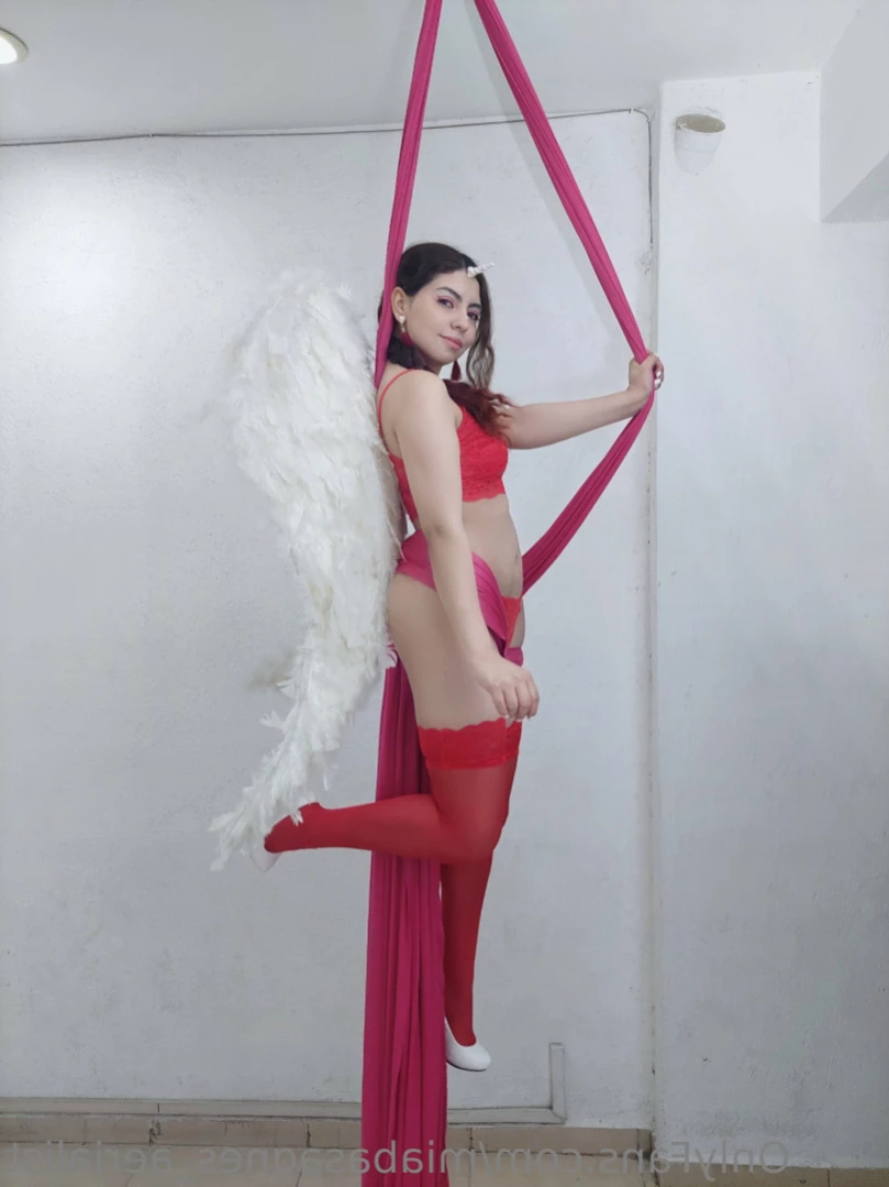 Mía Basañes Aerialist [ miabasagnes_aerialist ] Onlyfans leaked photo 14630486 on Hotleaks.tv