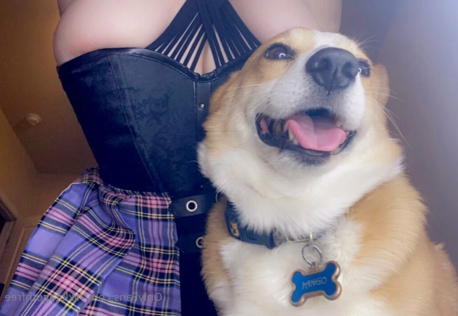 Nikkita Goth 🖤 FREE [ nikkitagothfree ] Onlyfans leaked photo 11509324 on Hotleaks.tv