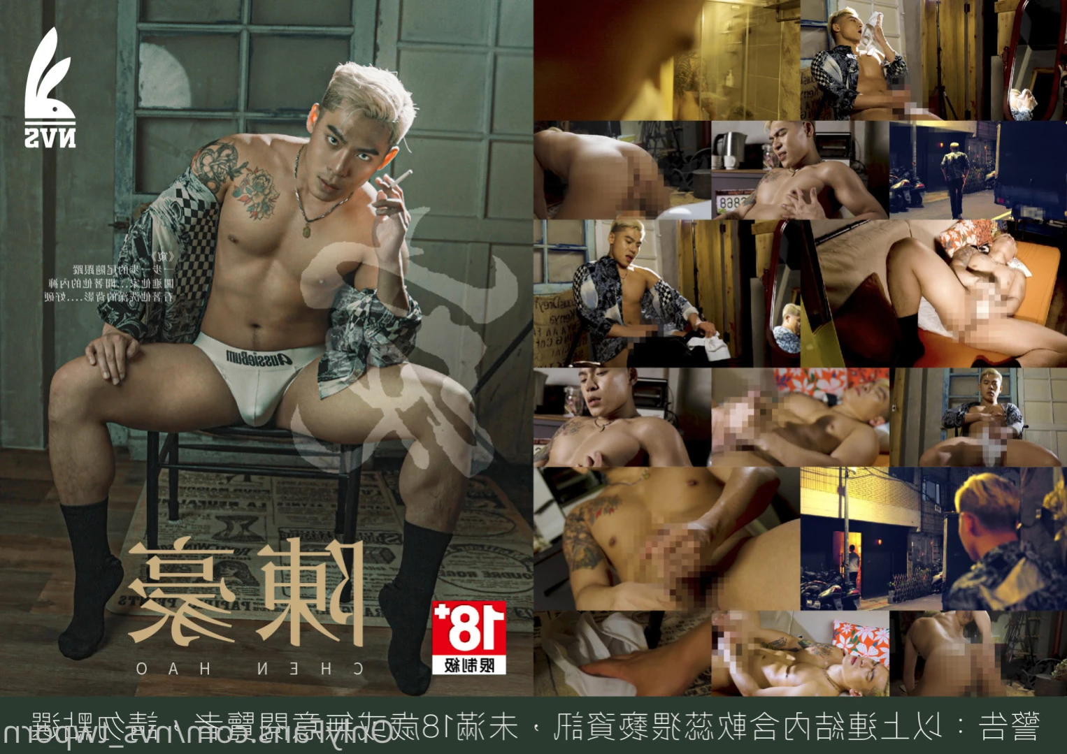 NVS - Taiwanese Gay Porn [ nvs_video ] Onlyfans leaked photo 13589657 on Hotleaks.tv