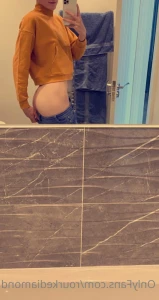 15566684