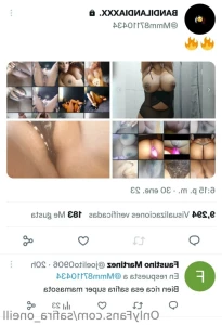 14406271