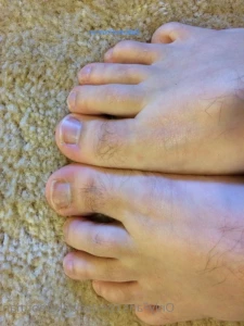 14201837