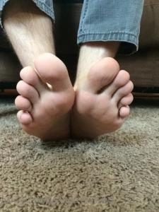 15340538