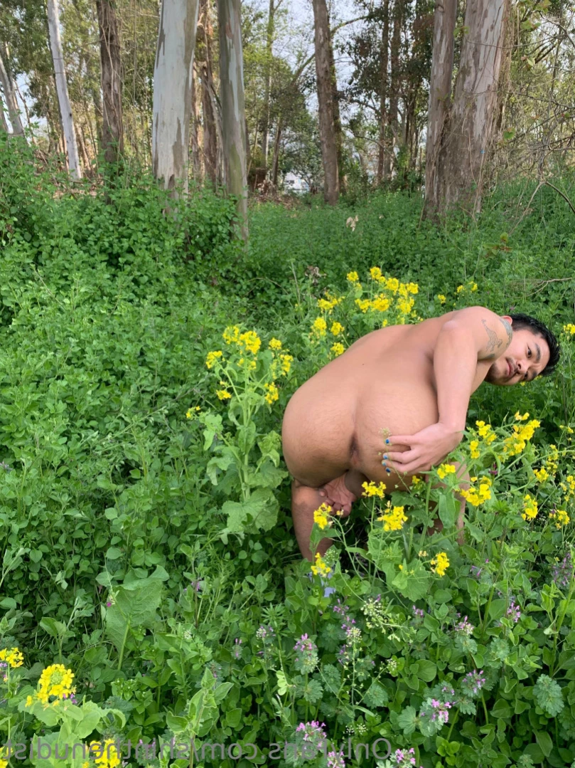Shin The Nudist [ shinthenudist ] Onlyfans leaked photo 14272115 on Hotleaks.tv