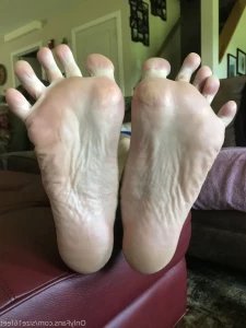 14529916