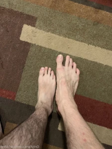 15067441