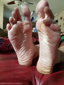 16261728