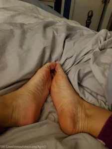 15586214