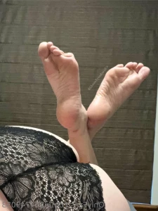 16208317