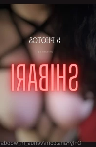 14204741