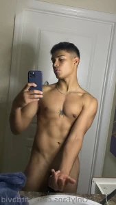 13528732