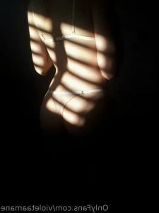 15307107