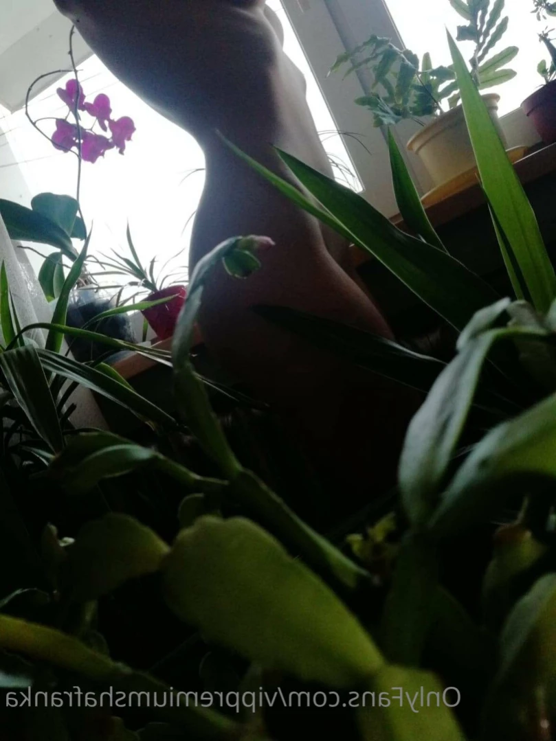 Shafranka [ vippremiumshafranka ] Onlyfans leaked photo 10872542 on Hotleaks.tv