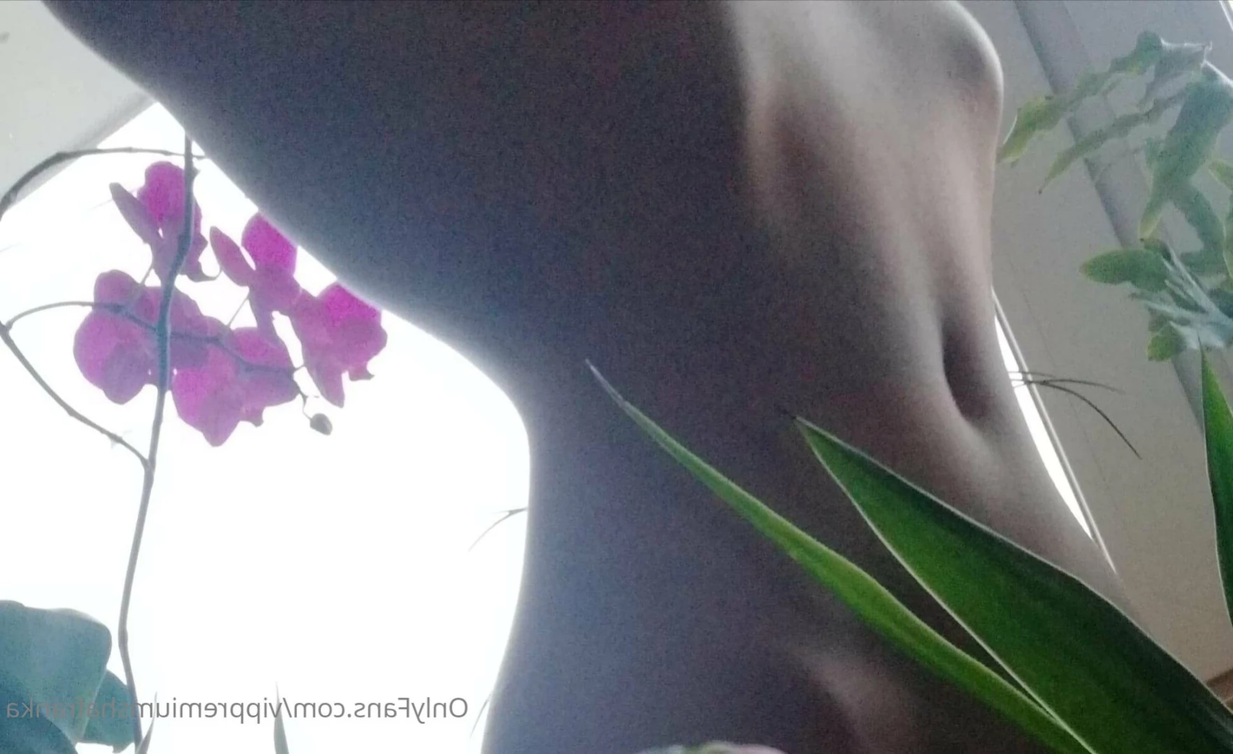 Shafranka [ vippremiumshafranka ] Onlyfans leaked photo 13680174 on Hotleaks.tv