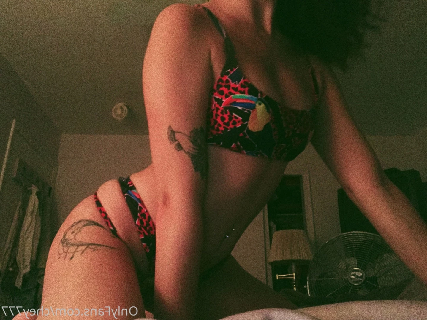 ⋰ shy⋈shy ⋱ [ xcx777 ] Onlyfans leaked photo 12565110 on Hotleaks.tv