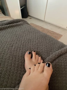 15563172
