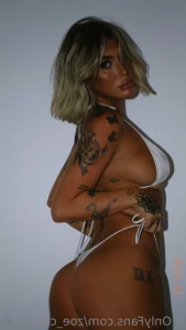 16065563