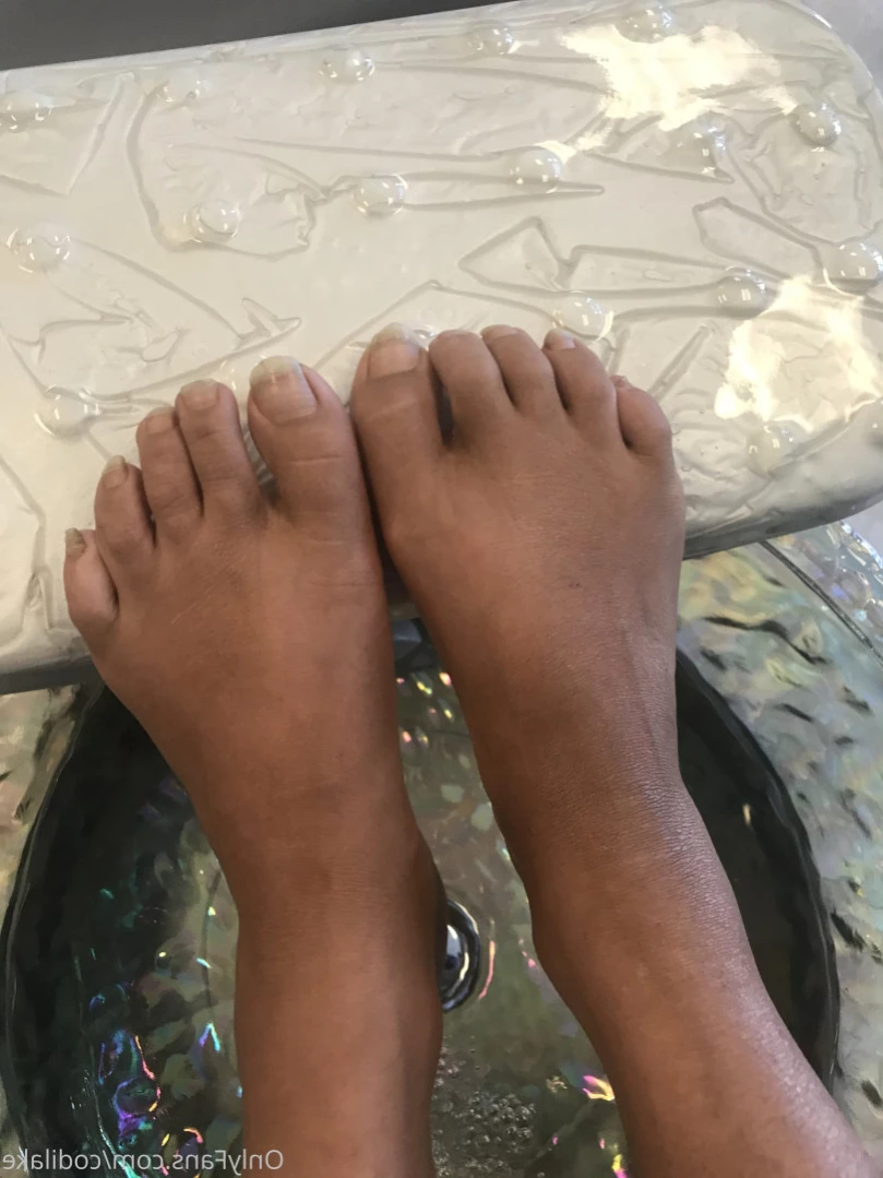 codilake Onlyfans leaked photo 12605532 on Hotleaks.tv