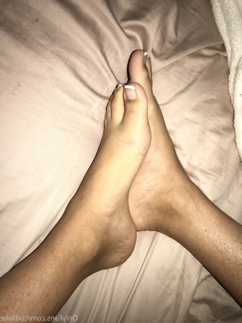codilake Onlyfans leaked photo 14390587 on Hotleaks.tv