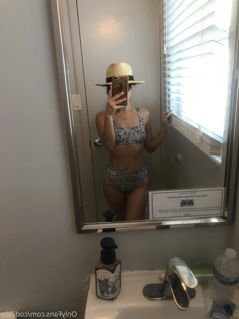 codilake Onlyfans leaked photo 15864412 on Hotleaks.tv