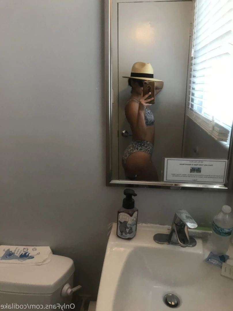 codilake Onlyfans leaked photo 15867229 on Hotleaks.tv