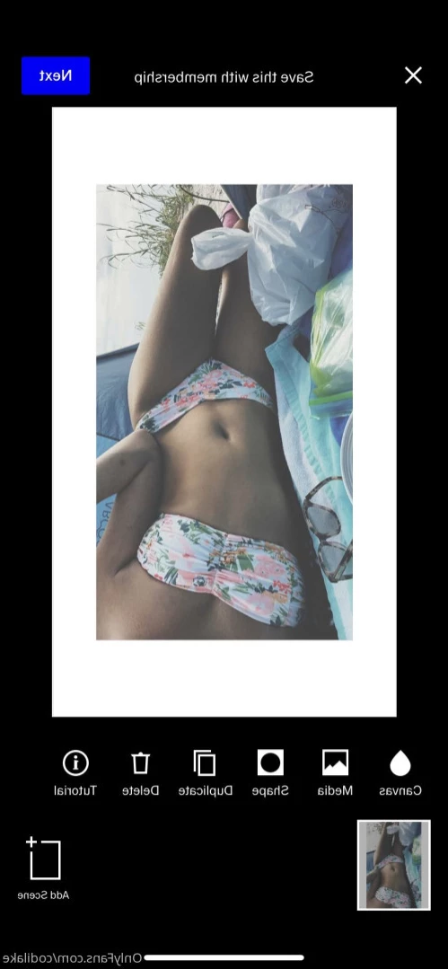codilake Onlyfans leaked photo 16124366 on Hotleaks.tv