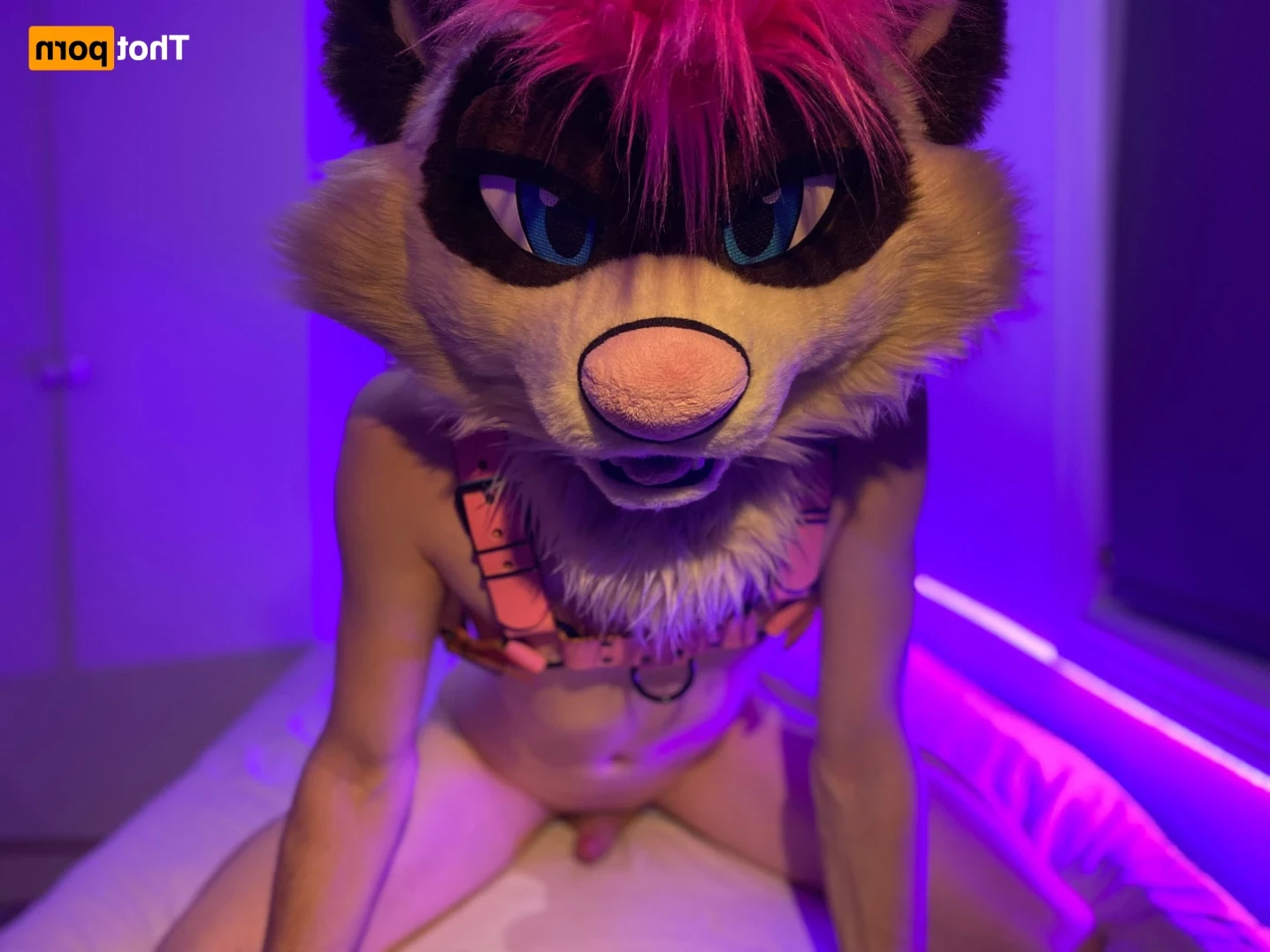 Mai Tai [ moremaitai ] Onlyfans leaked photo 12768704 on Hotleaks.tv