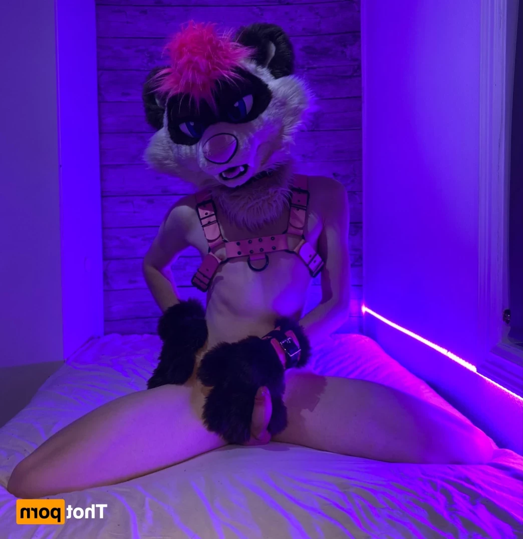 Mai Tai [ moremaitai ] Onlyfans leaked photo 12836774 on Hotleaks.tv