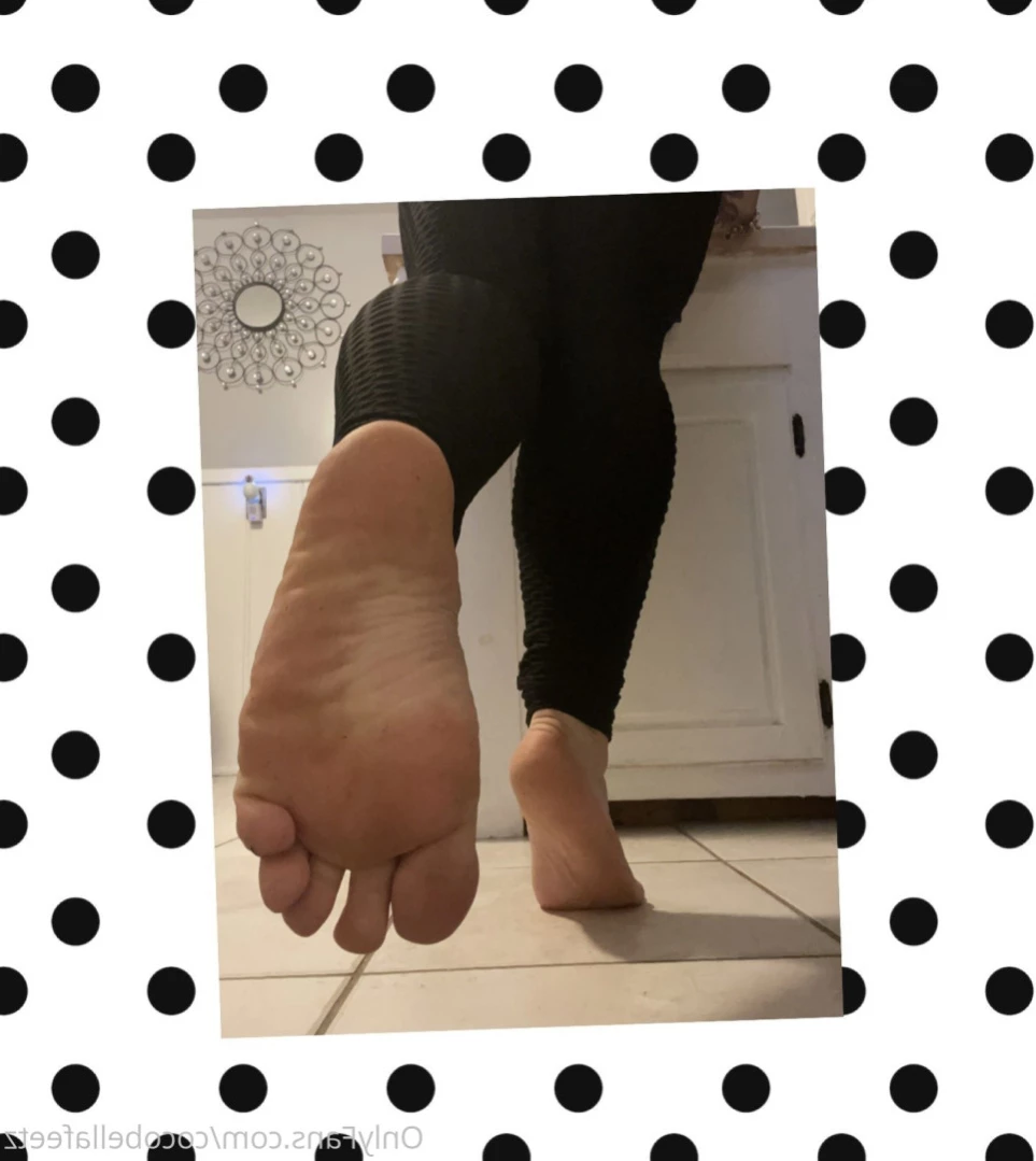 Coco bella [ cocobellafeetz ] Onlyfans leaked photo 15719234 on Hotleaks.tv