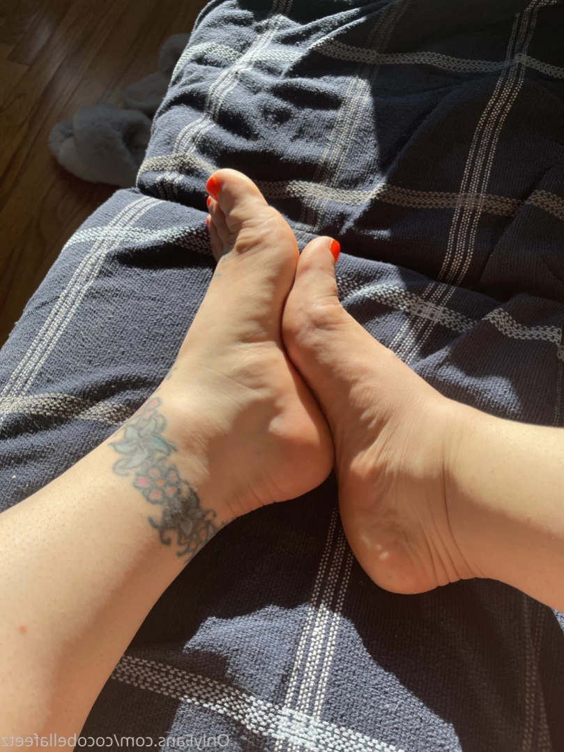 Coco bella [ cocobellafeetz ] Onlyfans leaked photo 16074649 on Hotleaks.tv