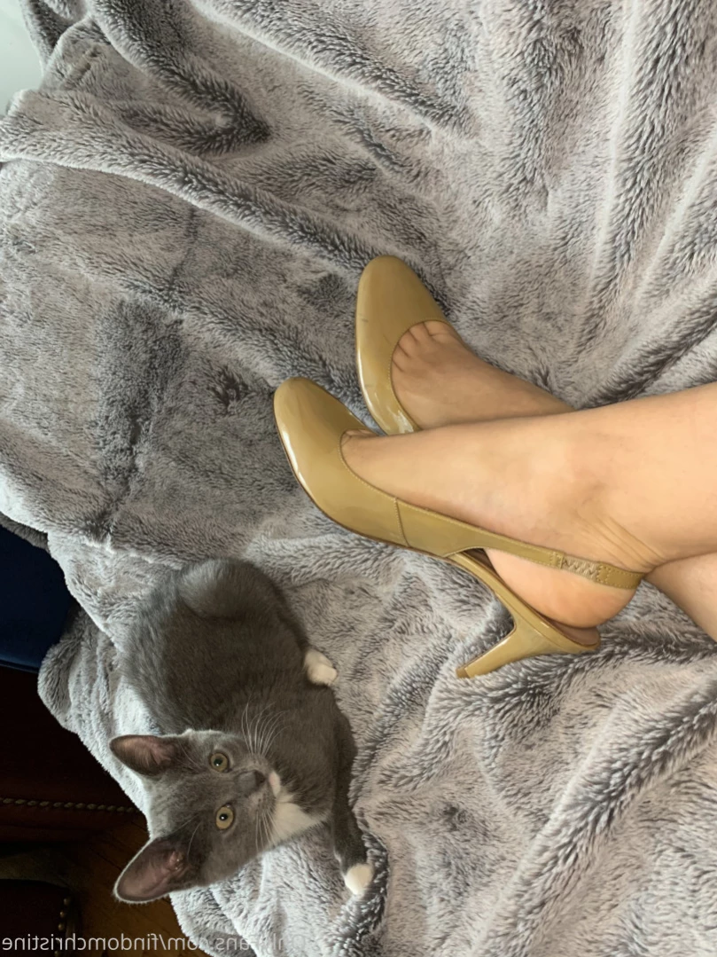 Goddess Christine [ findomchristine ] Onlyfans leaked photo 11339123 on Hotleaks.tv