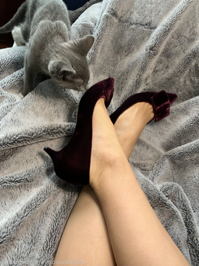 Goddess Christine [ findomchristine ] Onlyfans leaked photo 12818361 on Hotleaks.tv