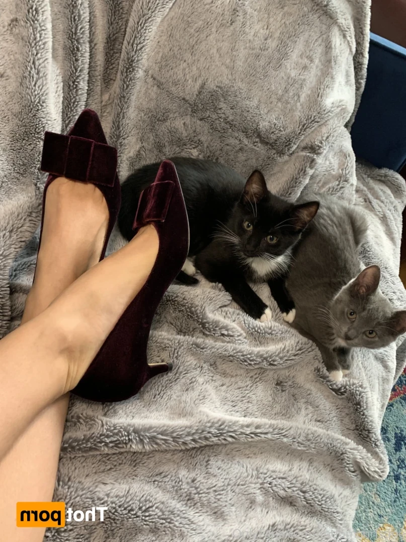 Goddess Christine [ findomchristine ] Onlyfans leaked photo 13531689 on Hotleaks.tv