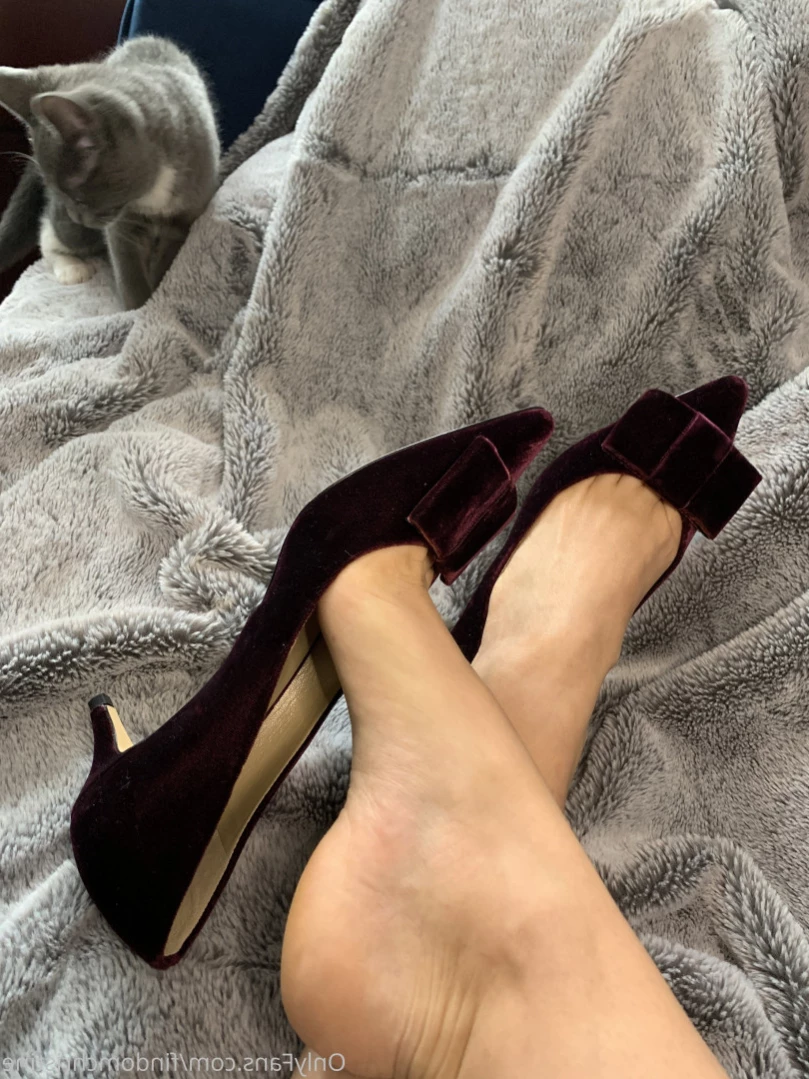 Goddess Christine [ findomchristine ] Onlyfans leaked photo 15088154 on Hotleaks.tv