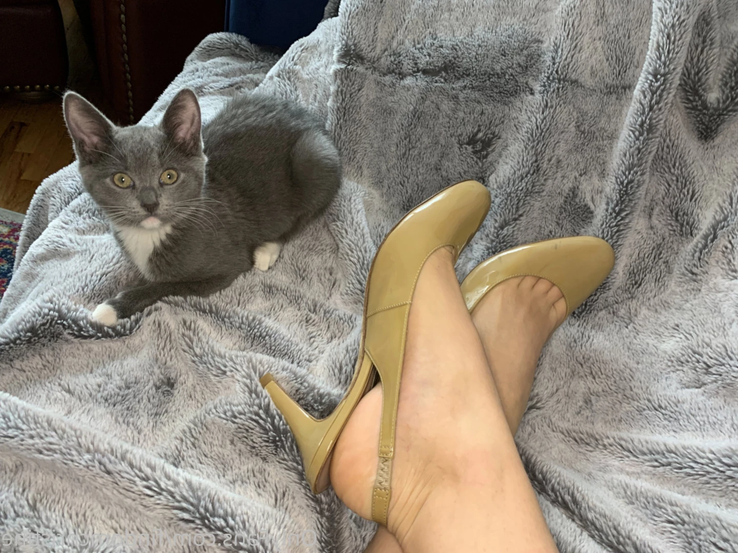 Goddess Christine [ findomchristine ] Onlyfans leaked photo 15870716 on Hotleaks.tv