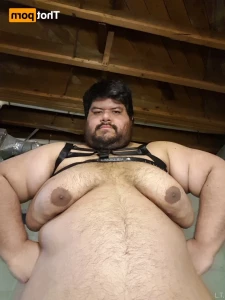 16284202