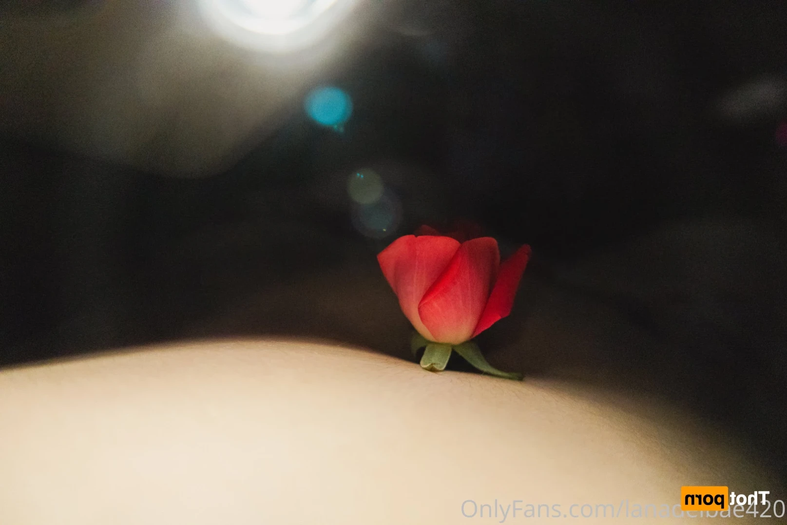lanadelbae420 Onlyfans leaked photo 13303509 on Hotleaks.tv