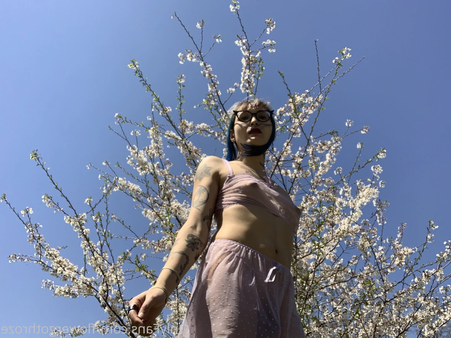 flowergothroze Onlyfans leaked photo 13486698 on Hotleaks.tv