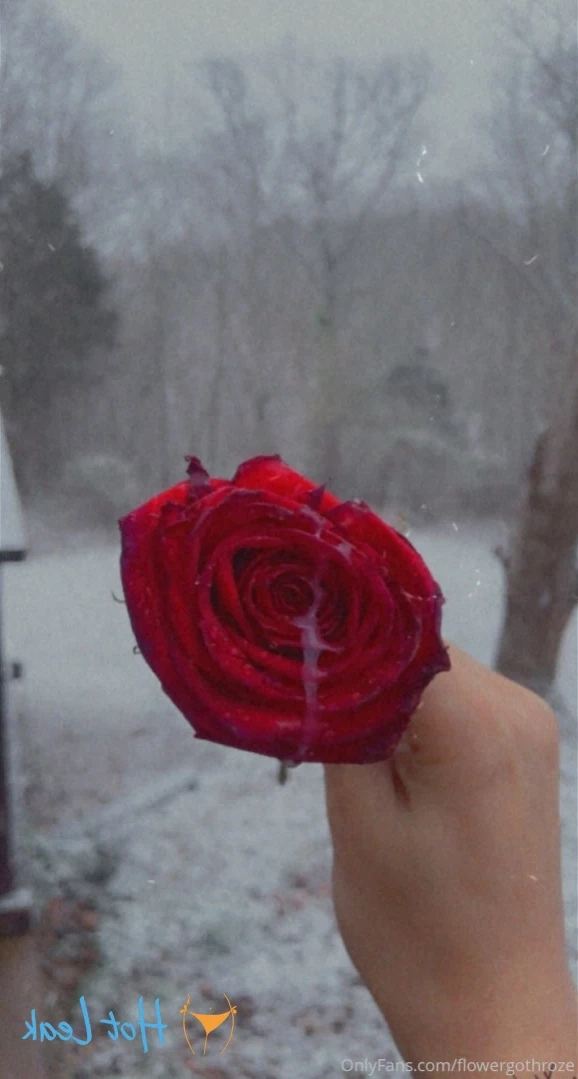 flowergothroze Onlyfans leaked photo 14529819 on Hotleaks.tv