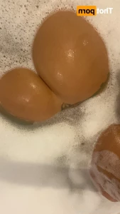 15690437