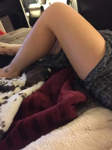 16223975
