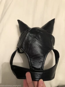 16329550