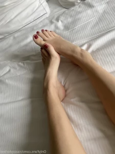 16089045