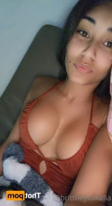 16017353
