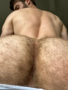 16279551