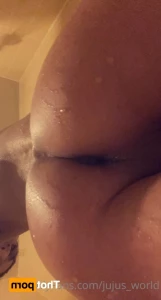 16462384